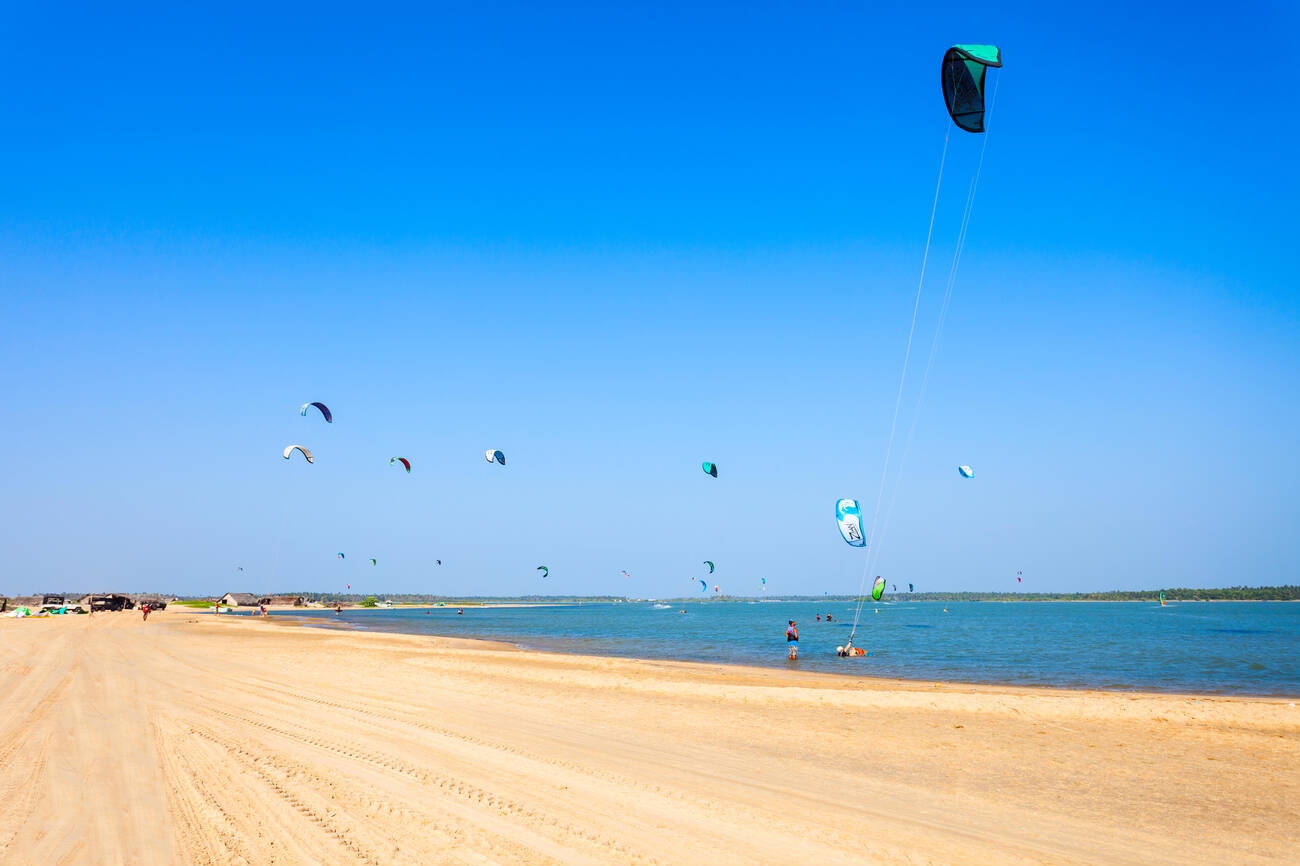 Tropical Beach Trails 2